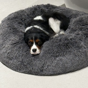 Fundraising Page: Adam Schwartz